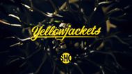 Yellowjackets Season 4: Show is officially renewed (Image via Paramount+)